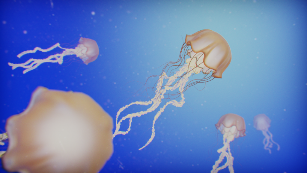 Jellyfish