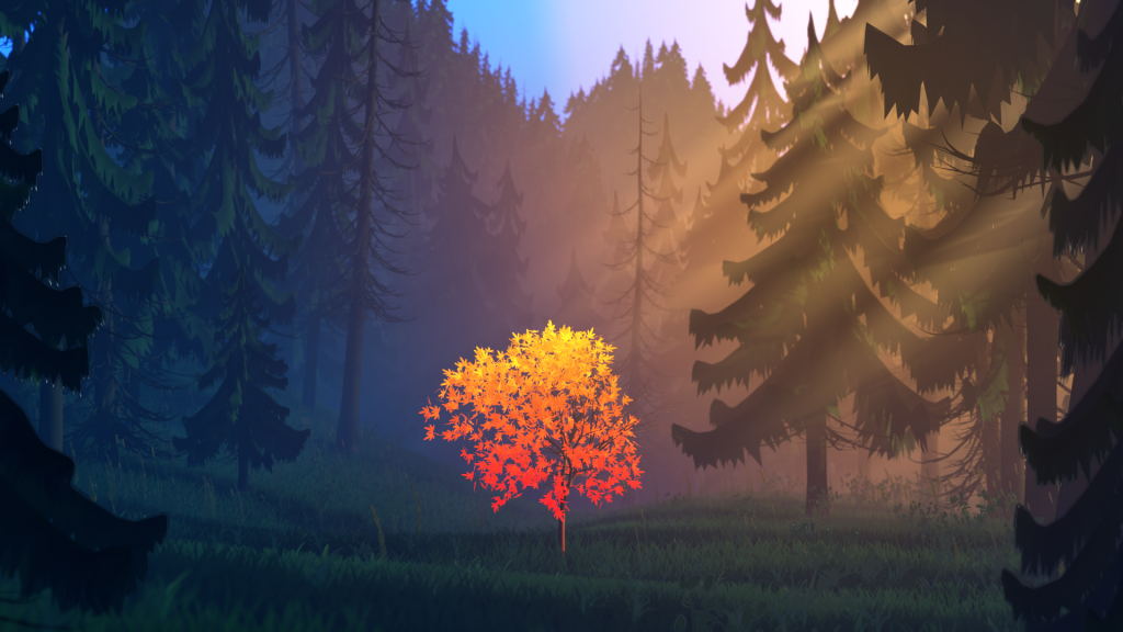 Miracle in the forrest