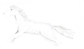 Caballo